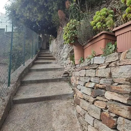 Studio Avec Terrasse